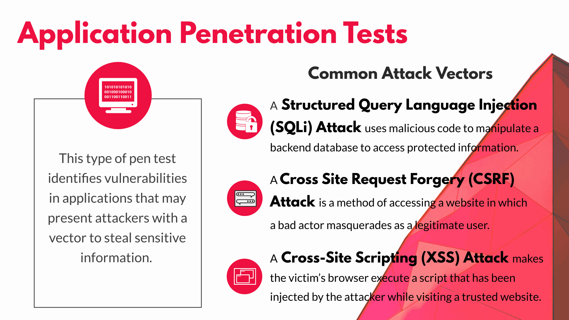 Web App Penetration Testing Expertise - CyberHunter